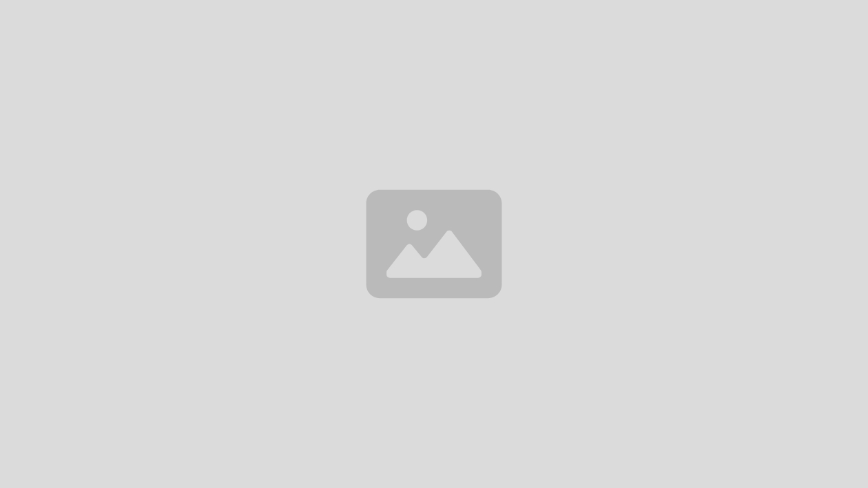 WP Engine Partner Pulse: June