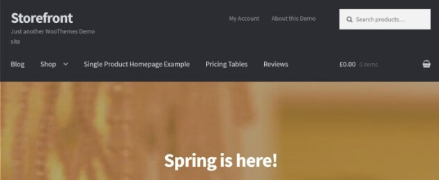 ecommerce themes