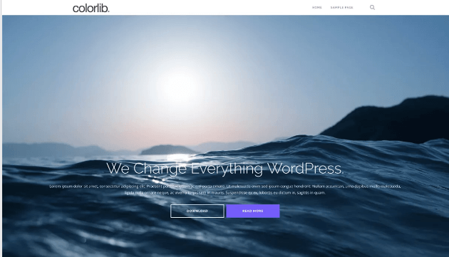 shapely wordpress theme