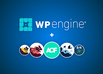 WP Engine and the Delicious Brains plugins