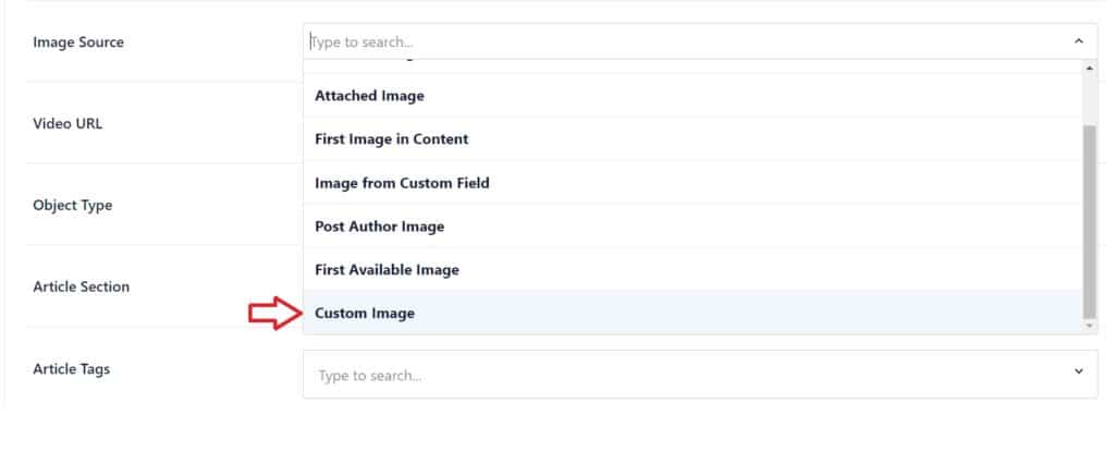 Image Source tab opened. A red arrow points out the Custom Image option