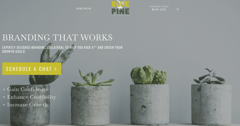 Screenshot from Blue + Pine website