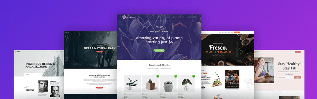 screenshot from Astra theme website