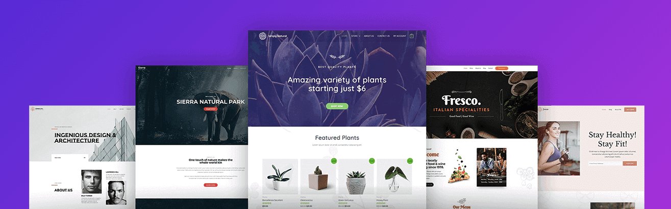 screenshot from Astra theme website