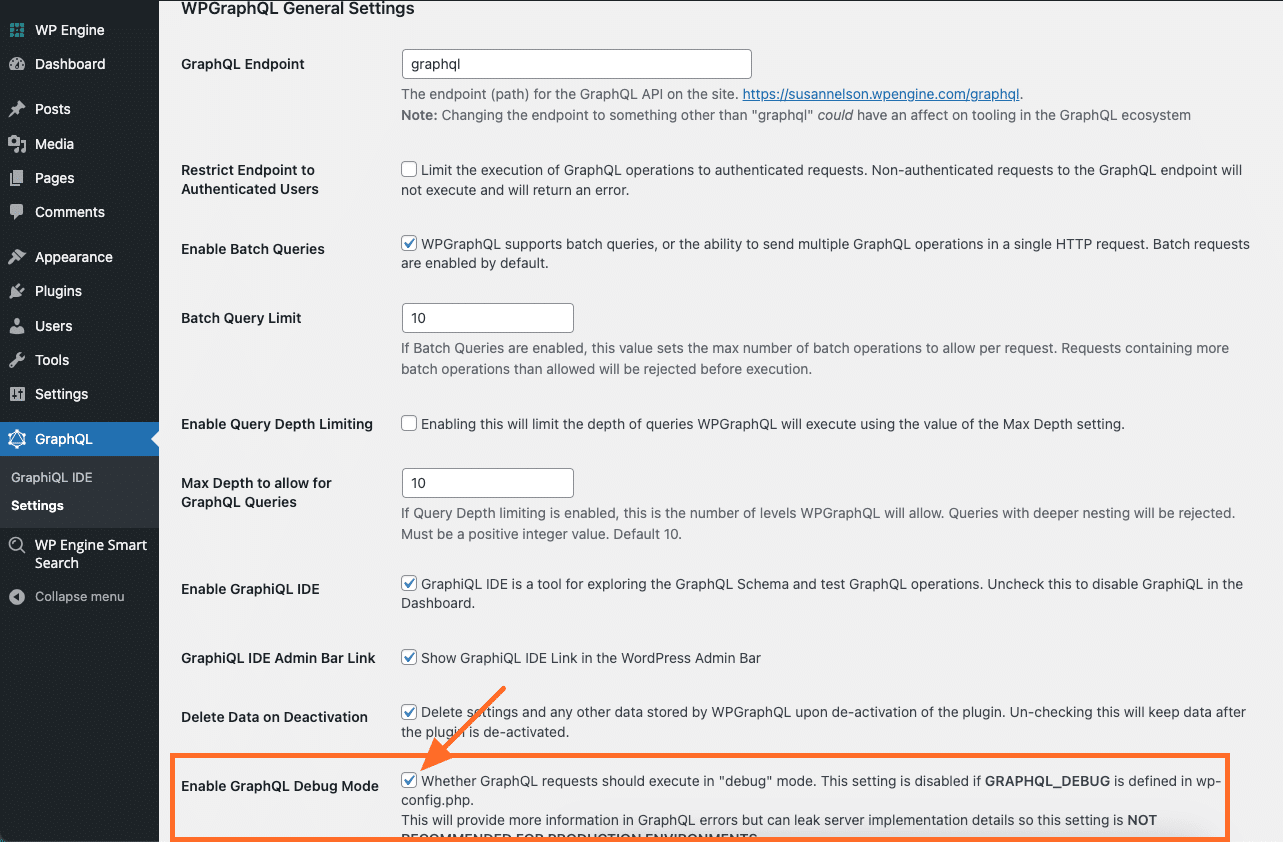 Checkbox to enable GraphQL Debug Mode