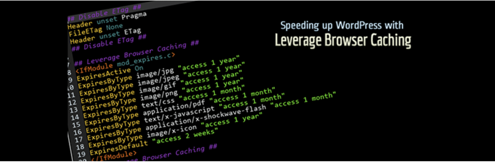 Leverage Browser Caching plugin. WordPress browser caching