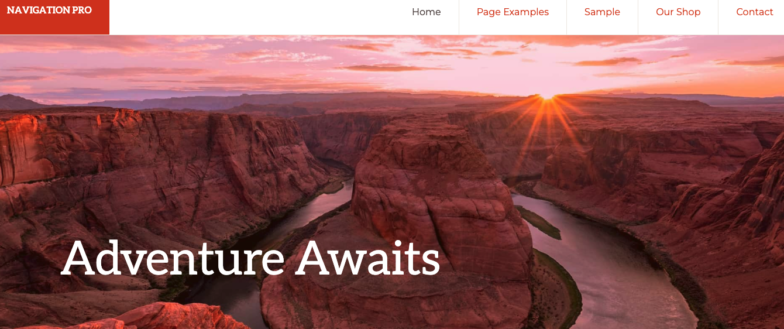 screenshot of the Navigation Pro theme demo on WP Engine