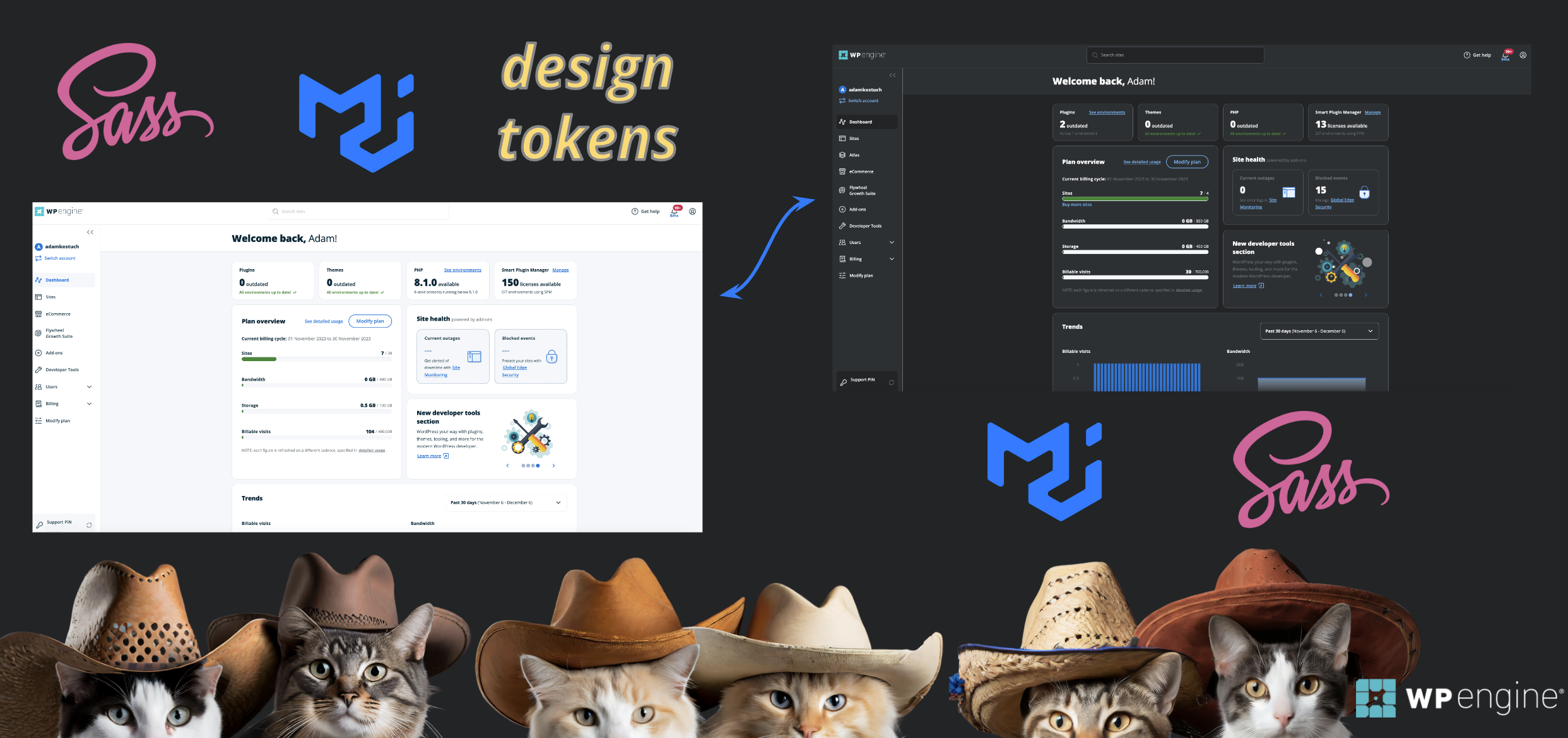 image depicting how creators Adam Kostuch, Adam Łapiński, Alex Butler, Donagh Kelleher, Marwa Saad, Robin Olaya, Ryszard Borzych, Sarah Ricker, Teresa Gobble, and Tyson Reeder created a dark mode for the WP Engine portal 
